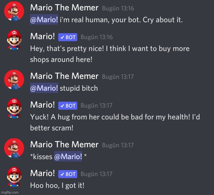 Me talking to a bot becasue no frend :( | made w/ Imgflip meme maker