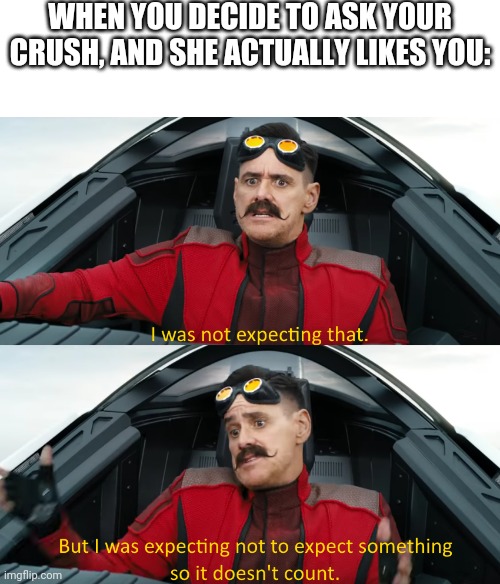 Eggman: "I was not expecting that" |  WHEN YOU DECIDE TO ASK YOUR CRUSH, AND SHE ACTUALLY LIKES YOU: | image tagged in eggman i was not expecting that,crush | made w/ Imgflip meme maker
