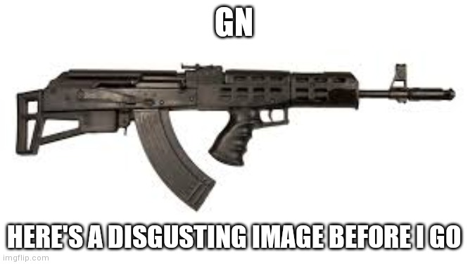 Bullpupped ak is revolting | GN; HERE'S A DISGUSTING IMAGE BEFORE I GO | image tagged in bullpup ak | made w/ Imgflip meme maker