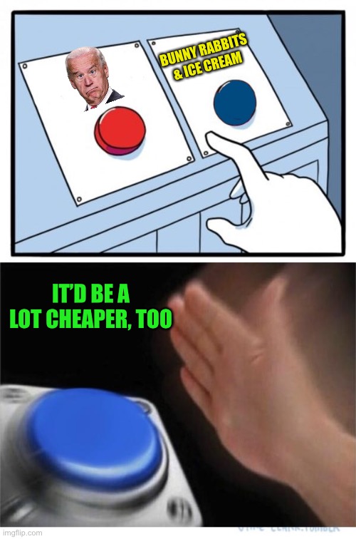 two buttons 1 blue | BUNNY RABBITS 
& ICE CREAM IT’D BE A LOT CHEAPER, TOO | image tagged in two buttons 1 blue | made w/ Imgflip meme maker