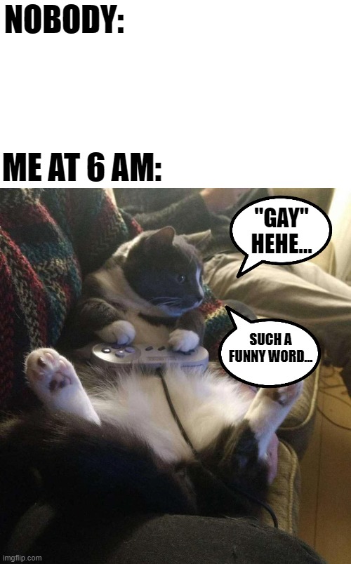 Heh, gay. (it's actually 6:45 AM right now xD) | NOBODY:; ME AT 6 AM:; "GAY"
HEHE... SUCH A FUNNY WORD... | image tagged in snes cat,nobody,memes,funny,gay,cat | made w/ Imgflip meme maker