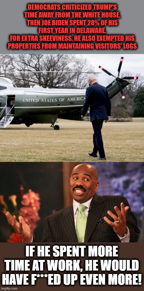 Oh, the hypocrisy! | DEMOCRATS CRITICIZED TRUMP'S TIME AWAY FROM THE WHITE HOUSE, THEN JOE BIDEN SPENT 28% OF HIS FIRST YEAR IN DELAWARE.
FOR EXTRA SKEEVINESS, HE ALSO EXEMPTED HIS PROPERTIES FROM MAINTAINING VISITORS' LOGS; IF HE SPENT MORE TIME AT WORK, HE WOULD HAVE F***ED UP EVEN MORE! | image tagged in memes,steve harvey,joe biden,basement,delaware,white house | made w/ Imgflip meme maker