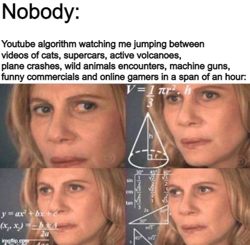 What's wrong with you? | Nobody:; Youtube algorithm watching me jumping between videos of cats, supercars, active volcanoes, plane crashes, wild animals encounters, machine guns, funny commercials and online gamers in a span of an hour: | image tagged in math lady/confused lady,algorithm,youtube | made w/ Imgflip meme maker