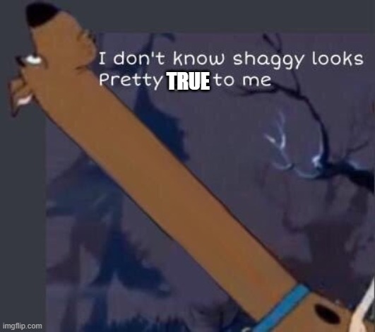 i dont know shaggy looks pretty gay to me | TRUE | image tagged in i dont know shaggy looks pretty gay to me | made w/ Imgflip meme maker