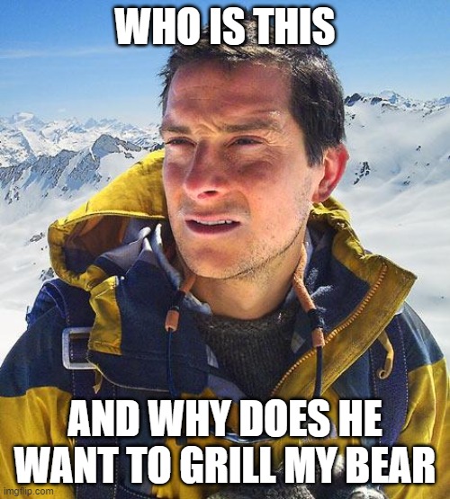 Bear Grylls | WHO IS THIS; AND WHY DOES HE WANT TO GRILL MY BEAR | image tagged in memes,bear grylls | made w/ Imgflip meme maker