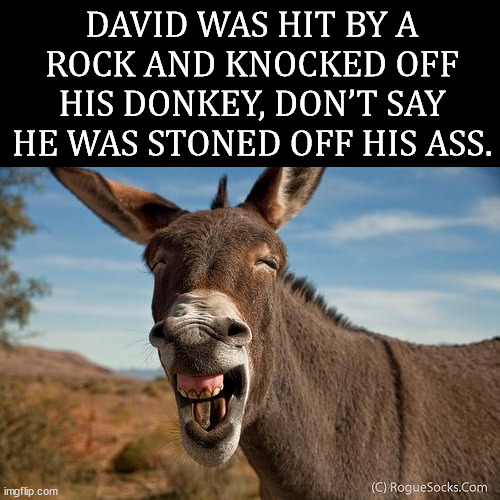 Donkey Jackass Braying | DAVID WAS HIT BY A ROCK AND KNOCKED OFF HIS DONKEY, DON’T SAY HE WAS STONED OFF HIS ASS. | image tagged in donkey jackass braying,eye roll | made w/ Imgflip meme maker