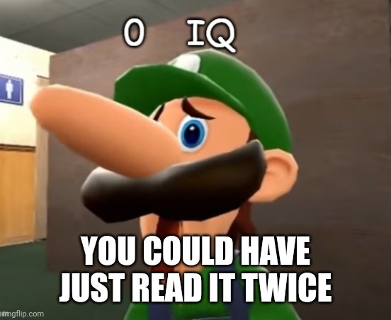 0 iq | YOU COULD HAVE JUST READ IT TWICE | image tagged in 0 iq | made w/ Imgflip meme maker