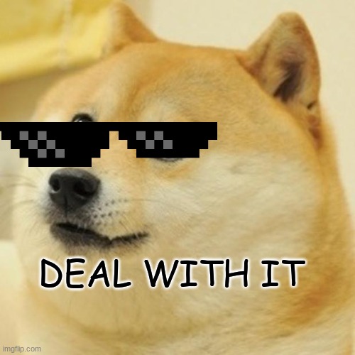 Doge Meme | DEAL WITH IT | image tagged in memes,doge | made w/ Imgflip meme maker