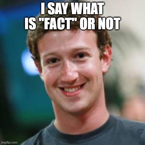Mark Zuckerberg | I SAY WHAT IS "FACT" OR NOT | image tagged in mark zuckerberg | made w/ Imgflip meme maker