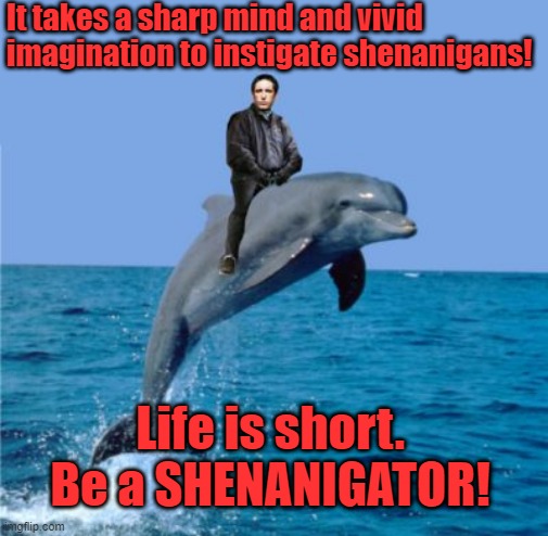 Shenanigans | It takes a sharp mind and vivid imagination to instigate shenanigans! Life is short. 
Be a SHENANIGATOR! | image tagged in imagination | made w/ Imgflip meme maker