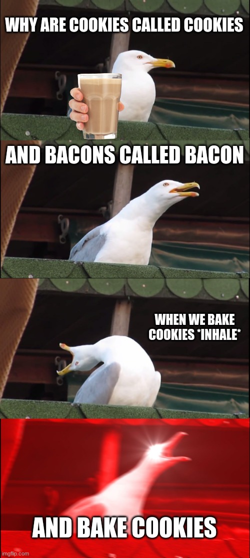 *confused confusing confusion* | WHY ARE COOKIES CALLED COOKIES; AND BACONS CALLED BACON; WHEN WE BAKE COOKIES *INHALE*; AND BAKE COOKIES | image tagged in memes,inhaling seagull | made w/ Imgflip meme maker