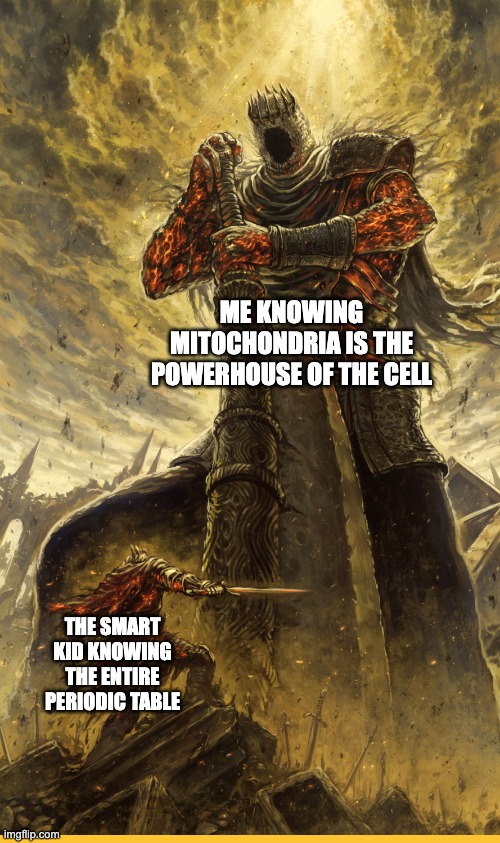 Fantasy Painting | ME KNOWING MITOCHONDRIA IS THE POWERHOUSE OF THE CELL; THE SMART KID KNOWING THE ENTIRE PERIODIC TABLE | image tagged in fantasy painting | made w/ Imgflip meme maker