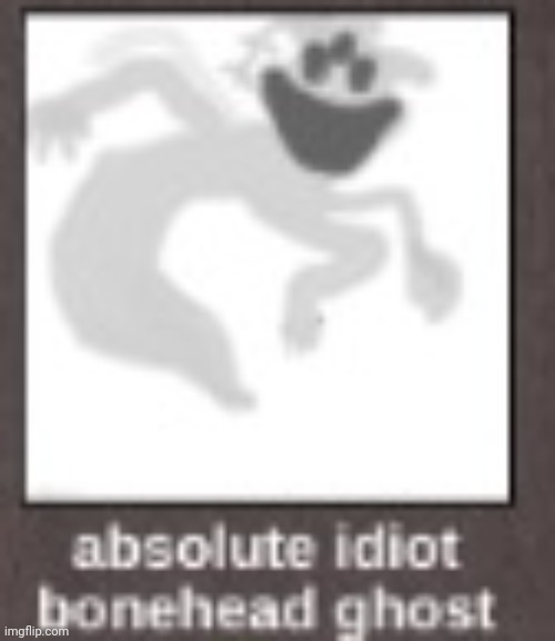 absolute idiot bonehead ghost | image tagged in absolute idiot bonehead ghost | made w/ Imgflip meme maker