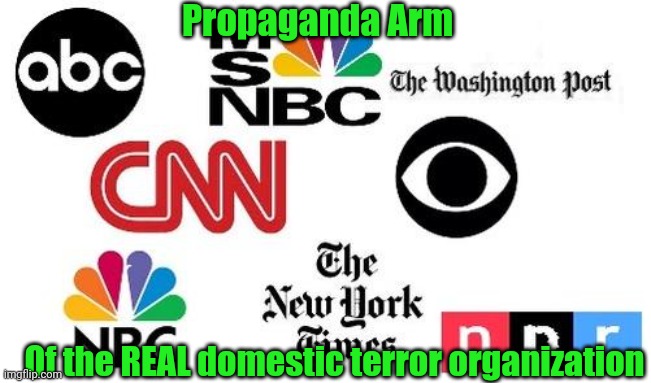 Lib mainstream media | Of the REAL domestic terror organization Propaganda Arm | image tagged in lib mainstream media | made w/ Imgflip meme maker