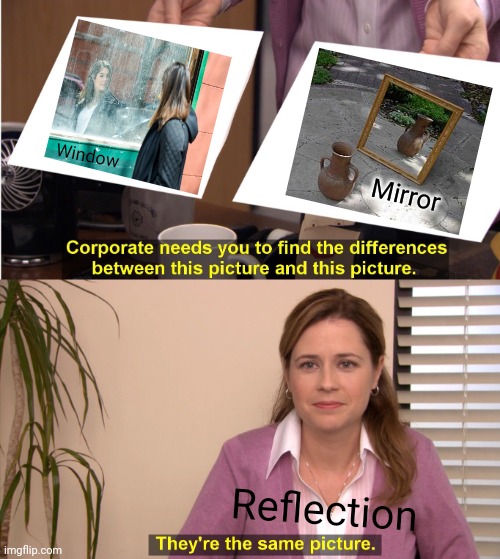 Window, Mirror: Reflection | Window; Mirror; Reflection | image tagged in memes,they're the same picture,window,mirror,reflection,meme | made w/ Imgflip meme maker