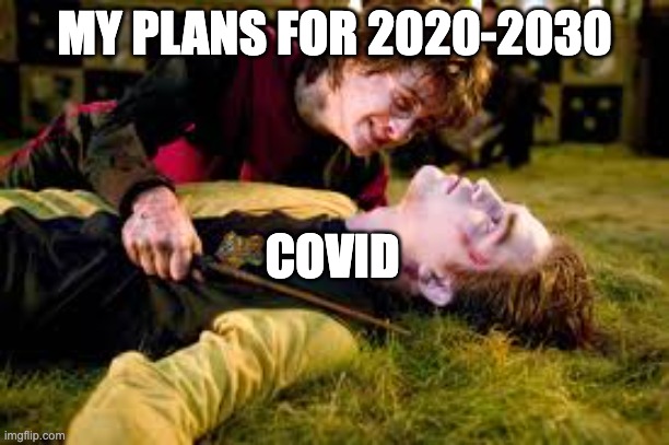 Why everyone | MY PLANS FOR 2020-2030; COVID | image tagged in death of cedric diggory | made w/ Imgflip meme maker