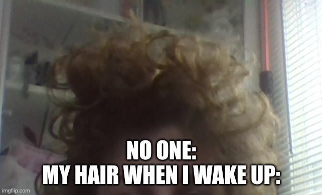NO ONE:
MY HAIR WHEN I WAKE UP: | made w/ Imgflip meme maker