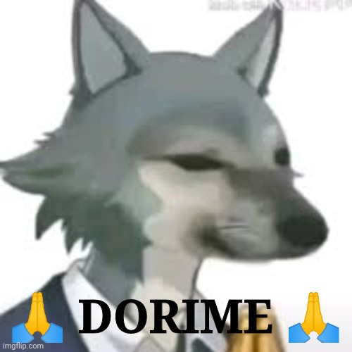 Forgot to say morning lmao what's up? | 🙏 DORIME 🙏 | image tagged in legoshi dorime | made w/ Imgflip meme maker