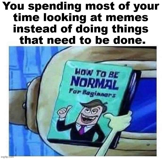 You spending most of your 
time looking at memes 
instead of doing things 
that need to be done. | image tagged in memes | made w/ Imgflip meme maker