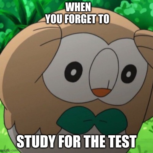 Rowlet Meme Template | WHEN YOU FORGET TO; STUDY FOR THE TEST | image tagged in rowlet meme template | made w/ Imgflip meme maker