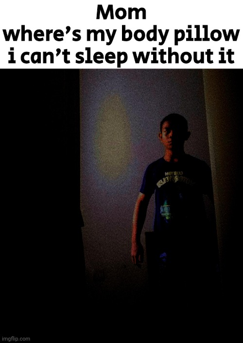 Mom
where's my body pillow
i can't sleep without it | made w/ Imgflip meme maker