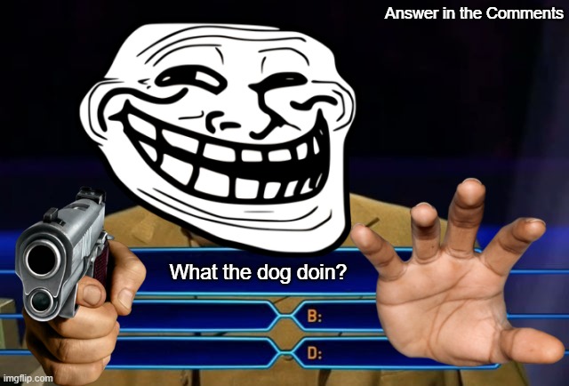 Answer in the Comments; What the dog doin? | image tagged in trollface,funny meme | made w/ Imgflip meme maker