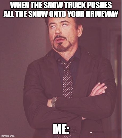 Face You Make Robert Downey Jr Meme | WHEN THE SNOW TRUCK PUSHES ALL THE SNOW ONTO YOUR DRIVEWAY; ME: | image tagged in memes,face you make robert downey jr | made w/ Imgflip meme maker