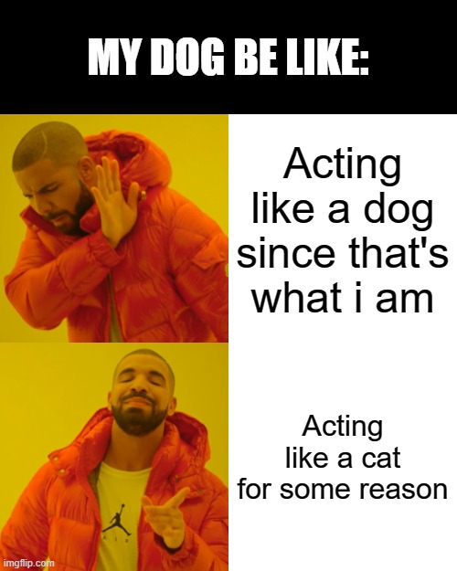 yeah | MY DOG BE LIKE:; Acting like a dog since that's what i am; Acting like a cat for some reason | image tagged in memes,drake hotline bling | made w/ Imgflip meme maker