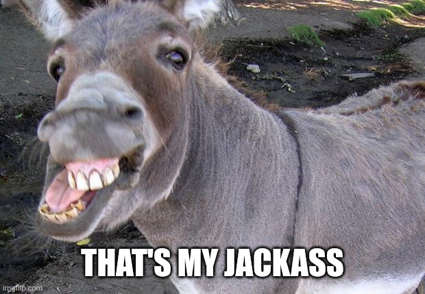 jackass | THAT'S MY JACKASS | image tagged in jackass | made w/ Imgflip meme maker