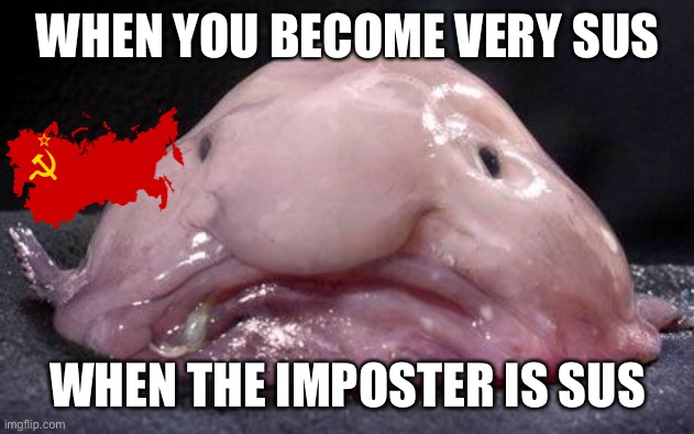 Blobfish | WHEN YOU BECOME VERY SUS; WHEN THE IMPOSTER IS SUS | image tagged in blobfish | made w/ Imgflip meme maker