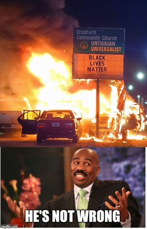 image tagged in black lives matter,well he's not 'wrong' | made w/ Imgflip meme maker