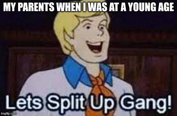  MY PARENTS WHEN I WAS AT A YOUNG AGE | image tagged in lets split up gang | made w/ Imgflip meme maker