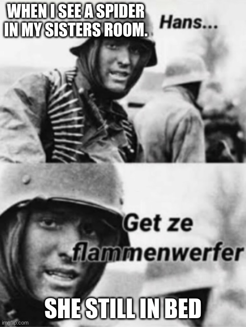 Hans, Get ze flammenwerfer |  WHEN I SEE A SPIDER IN MY SISTERS ROOM. SHE STILL IN BED | image tagged in hans get ze flammenwerfer | made w/ Imgflip meme maker