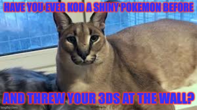 Floppa | HAVE YOU EVER KOD A SHINY POKEMON BEFORE; AND THREW YOUR 3DS AT THE WALL? | image tagged in floppa | made w/ Imgflip meme maker