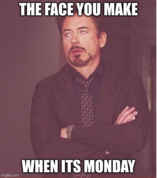 Face You Make Robert Downey Jr | THE FACE YOU MAKE; WHEN ITS MONDAY | image tagged in memes,face you make robert downey jr | made w/ Imgflip meme maker