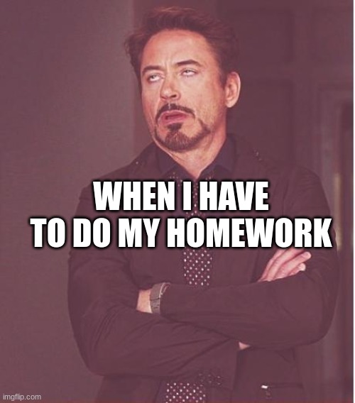 Face You Make Robert Downey Jr Meme | WHEN I HAVE TO DO MY HOMEWORK | image tagged in memes,face you make robert downey jr | made w/ Imgflip meme maker