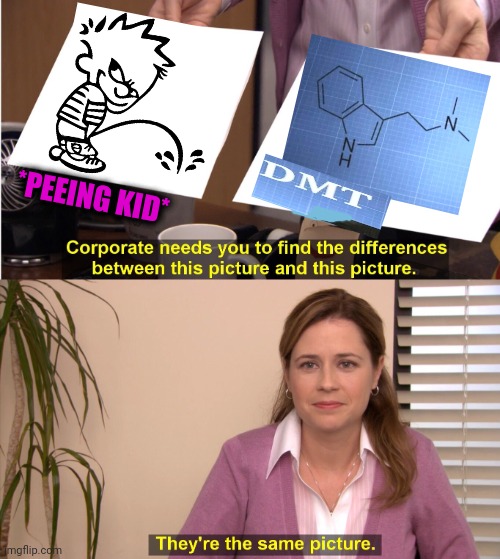 -Molecule of spirit. | *PEEING KID* | image tagged in memes,they're the same picture,psychedelic,don't do drugs,peeing,kid | made w/ Imgflip meme maker