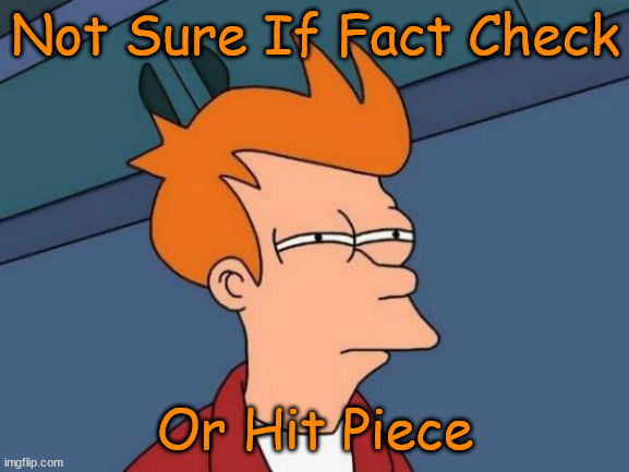 Character Assasination | Not Sure If Fact Check; Or Hit Piece | image tagged in political memes,futurama fry,fact check,insults,msm lies,leftists | made w/ Imgflip meme maker