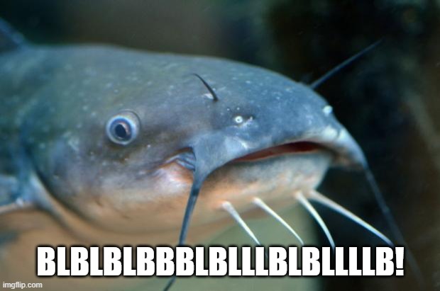 Catfish Catfish  | BLBLBLBBBLBLLLBLBLLLLB! | image tagged in catfish catfish | made w/ Imgflip meme maker