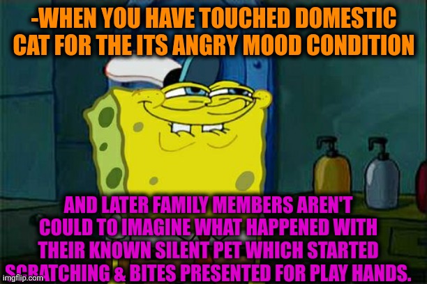 -Ruler over mood. | -WHEN YOU HAVE TOUCHED DOMESTIC CAT FOR THE ITS ANGRY MOOD CONDITION; AND LATER FAMILY MEMBERS AREN'T COULD TO IMAGINE WHAT HAPPENED WITH THEIR KNOWN SILENT PET WHICH STARTED SCRATCHING & BITES PRESENTED FOR PLAY HANDS. | image tagged in memes,don't you squidward,warrior cats,can't touch this,13 reasons why,what happened | made w/ Imgflip meme maker