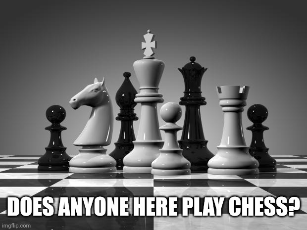 I'm just curious | DOES ANYONE HERE PLAY CHESS? | image tagged in chess | made w/ Imgflip meme maker