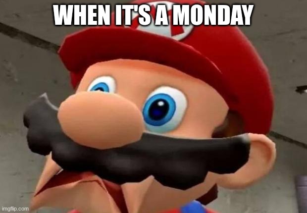 Mario WTF | WHEN IT'S A MONDAY | image tagged in mario wtf | made w/ Imgflip meme maker