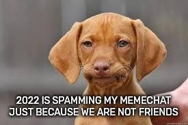 How is this a reason to spam someone's memechat? | 2022 IS SPAMMING MY MEMECHAT JUST BECAUSE WE ARE NOT FRIENDS | image tagged in disappointed dog | made w/ Imgflip meme maker