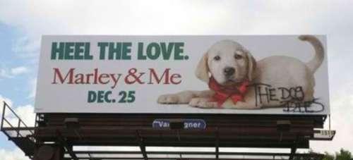 image tagged in funny,signs/billboards