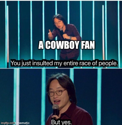 You just insulted my entire race of people | A COWBOY FAN | image tagged in you just insulted my entire race of people | made w/ Imgflip meme maker