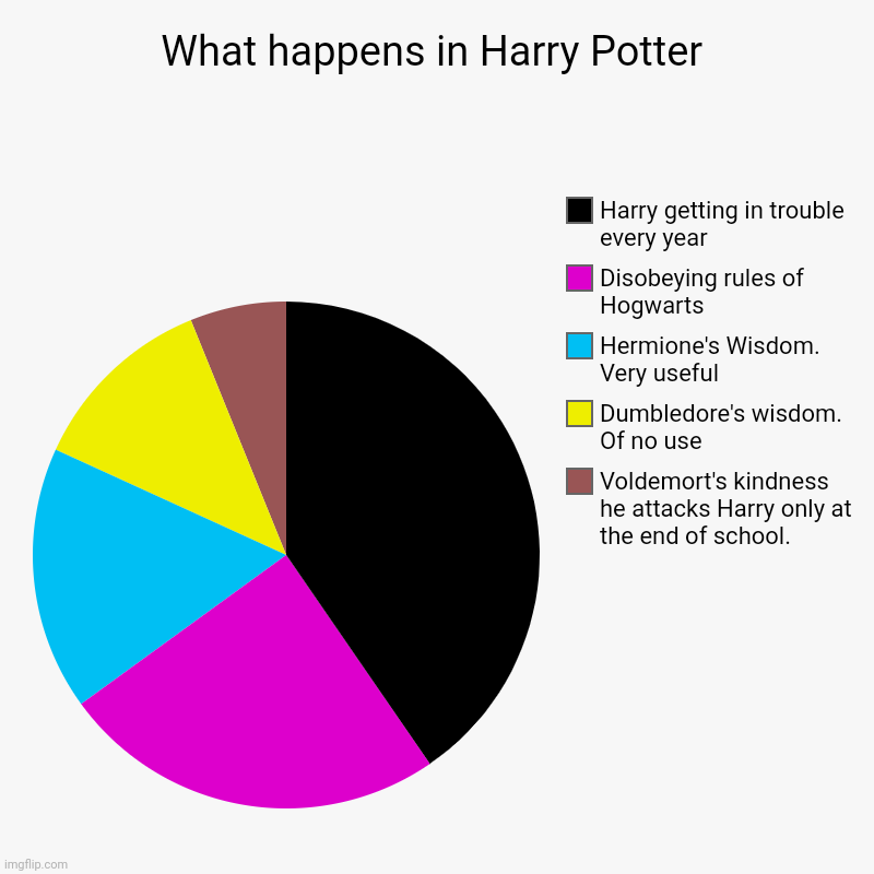What happens in Harry Potter | Voldemort's kindness    he attacks Harry only at the end of school., Dumbledore's wisdom.     Of no use, Herm | image tagged in charts,pie charts | made w/ Imgflip chart maker