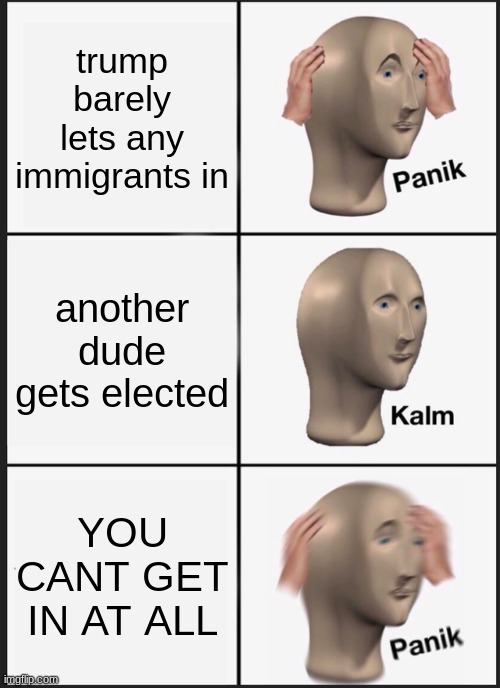 "Ironic, they voted for that dude too." -Arandomusername._. | trump barely lets any immigrants in; another dude gets elected; YOU CANT GET IN AT ALL | image tagged in memes,panik kalm panik | made w/ Imgflip meme maker