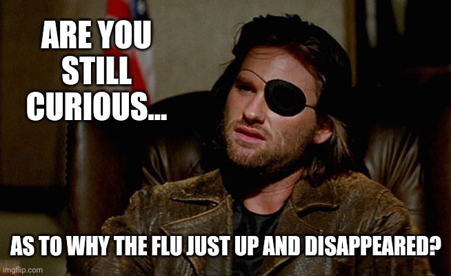 I'm still curious. | ARE YOU STILL CURIOUS... AS TO WHY THE FLU JUST UP AND DISAPPEARED? | image tagged in snake plissken asks | made w/ Imgflip meme maker