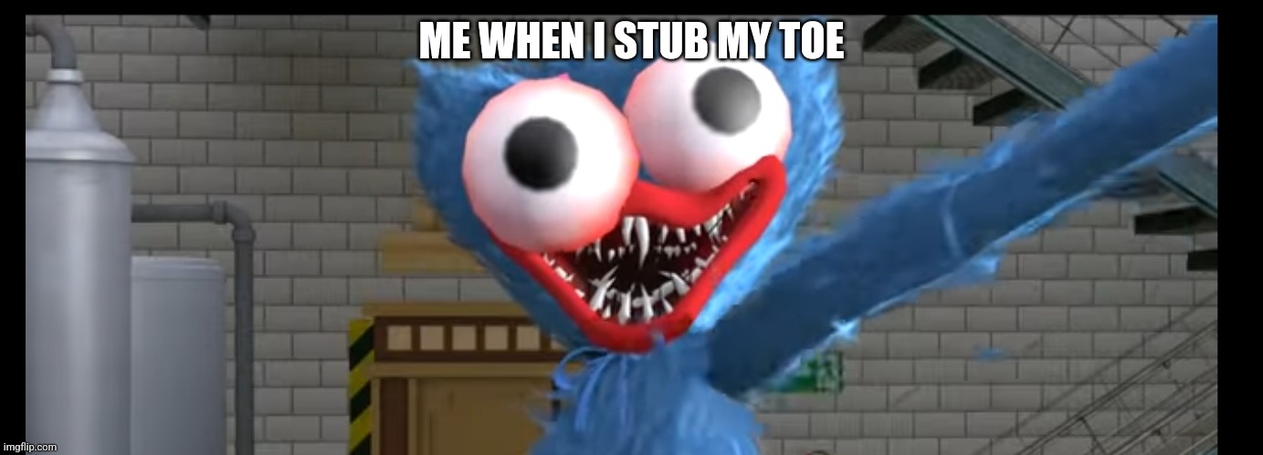 ME WHEN I STUB MY TOE | image tagged in funny | made w/ Imgflip meme maker