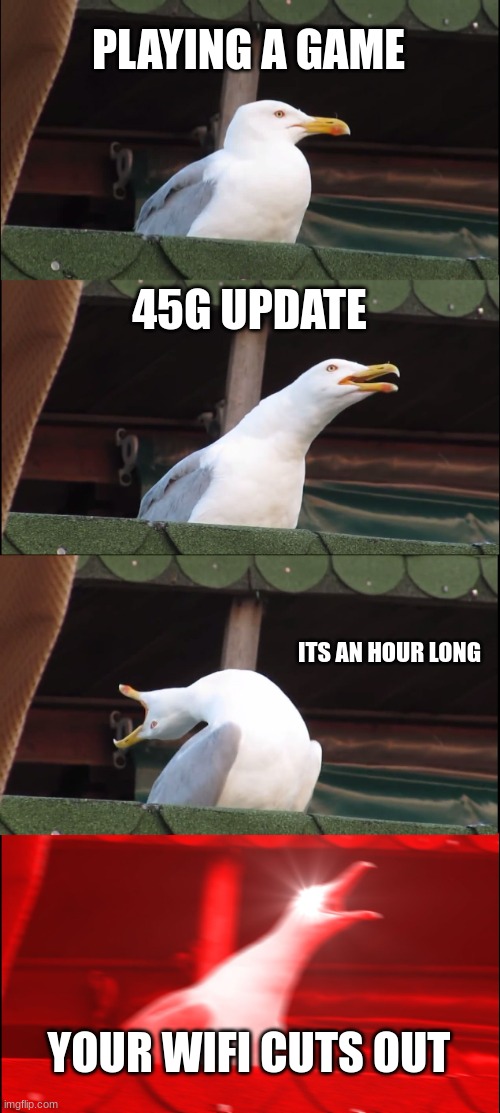 all gamers will get this | PLAYING A GAME; 45G UPDATE; ITS AN HOUR LONG; YOUR WIFI CUTS OUT | image tagged in memes,inhaling seagull | made w/ Imgflip meme maker